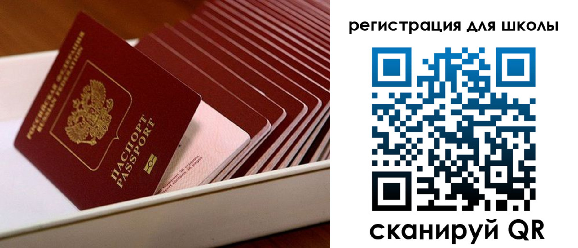 прописка гарантия в Аше
